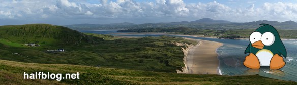 Cartoon penguin banner