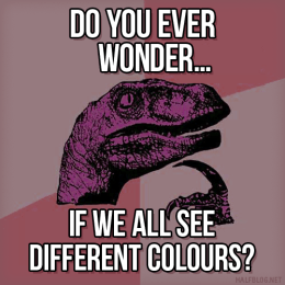 Philosoraptor on perception