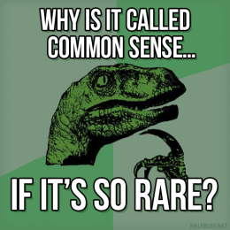 Philosoraptor on common sense
