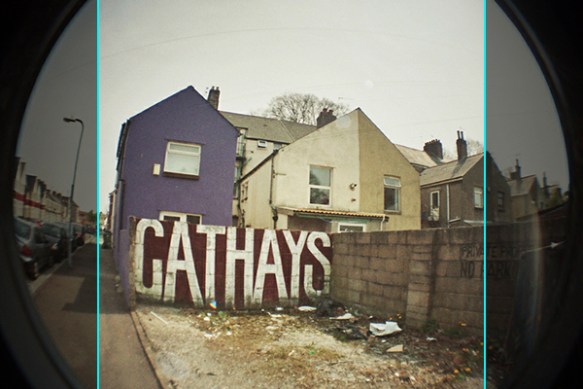 Photo showing cropped areas Photo showing cropped areas