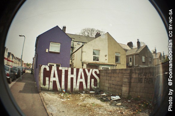 Photo now with attribution Photo now with attribution